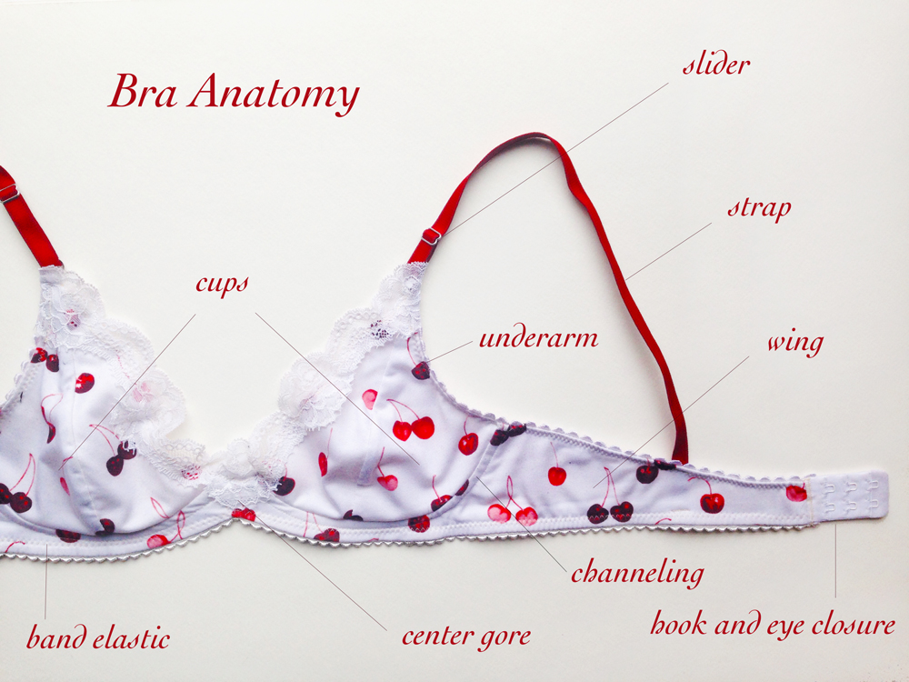 bra guide – a word is elegy to what it signifies